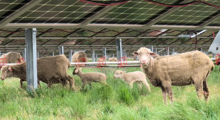 Foto: Iberdrola