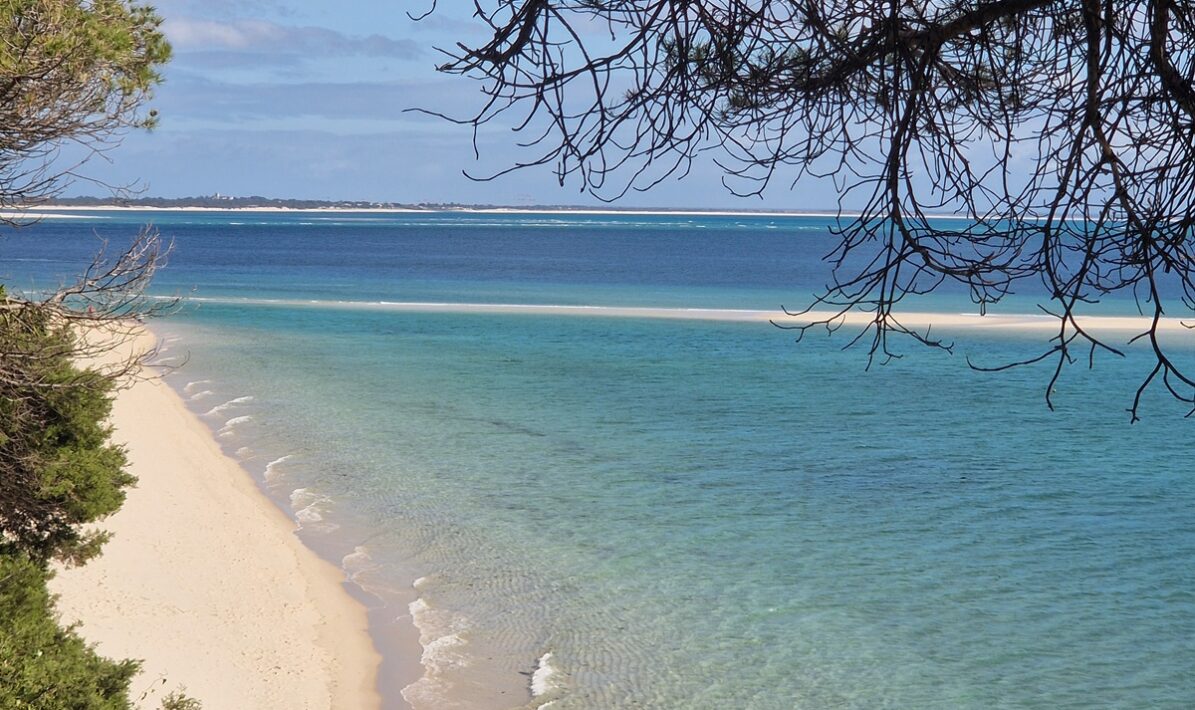 Praia da Figuerinha, na Arrábida, com vista para Tróia. | Foto: SSD