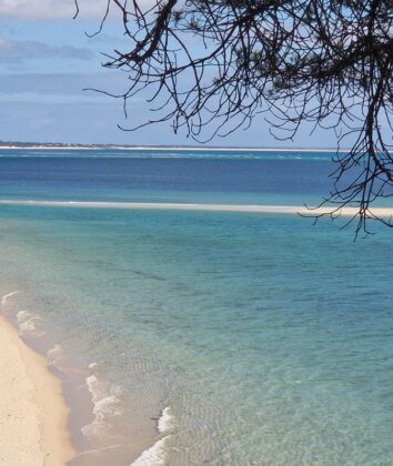 Praia da Figuerinha, na Arrábida, com vista para Tróia. | Foto: SSD
