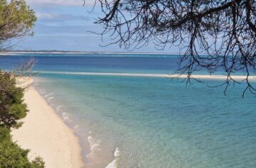 Praia da Figuerinha, na Arrábida, com vista para Tróia. | Foto: SSD