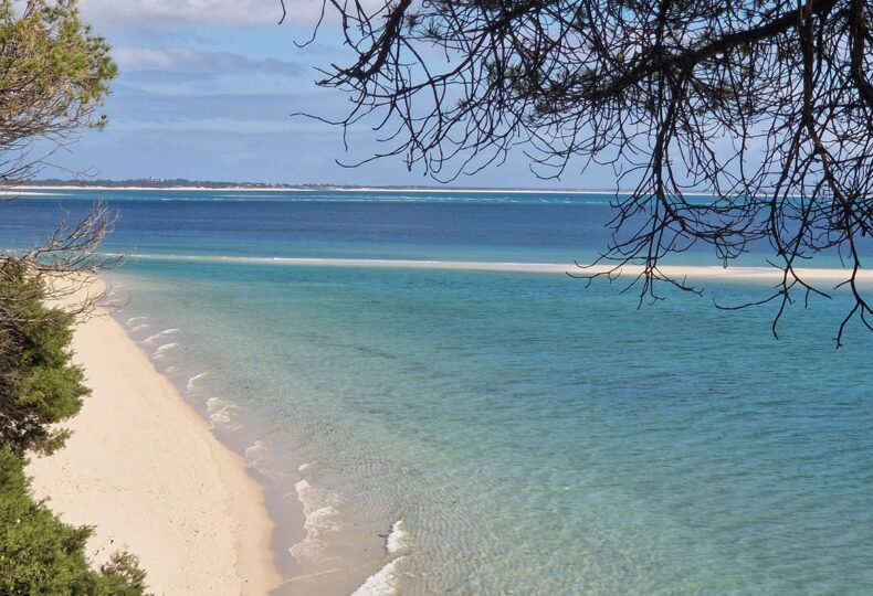 Praia da Figuerinha, na Arrábida, com vista para Tróia. | Foto: SSD