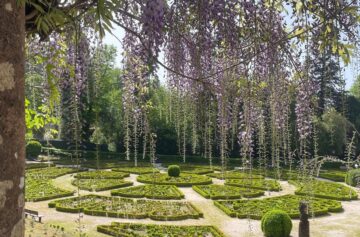 Foto: Mata Nacional do Bussaco