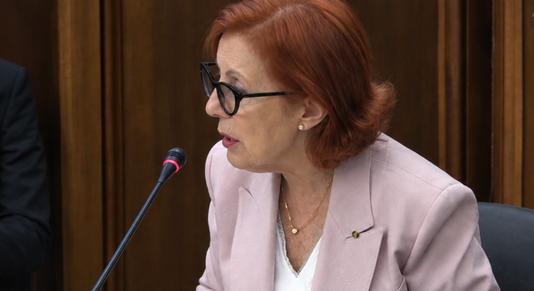 Ministra do Ambiente e Energia, Maria da Graça Carvalho | Foto: ARTV